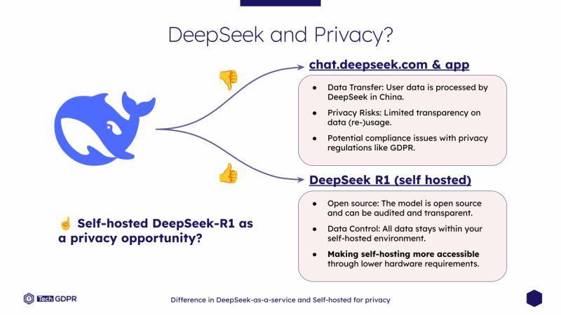 Deepseek and Privacy